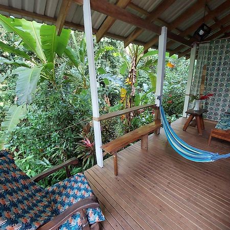Casa Lina Sloth View Exotic Apartment With Privat Kitchen Puerto Viejo de Talamanca Dış mekan fotoğraf