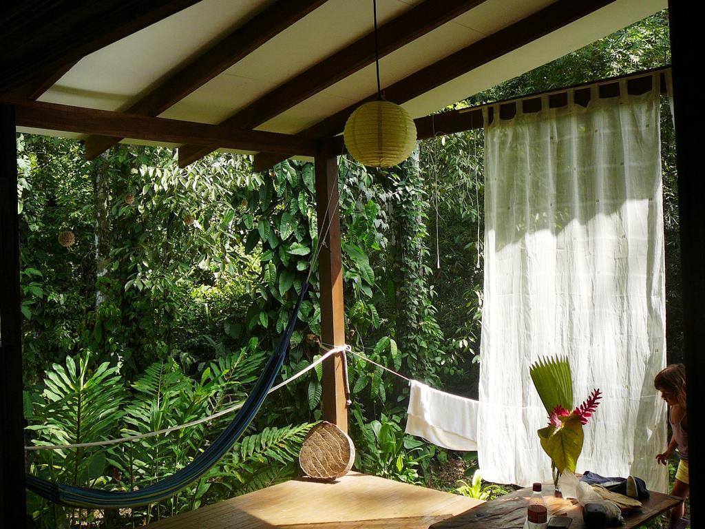 Casa Lina Sloth View Exotic Apartment With Privat Kitchen Puerto Viejo de Talamanca Oda fotoğraf