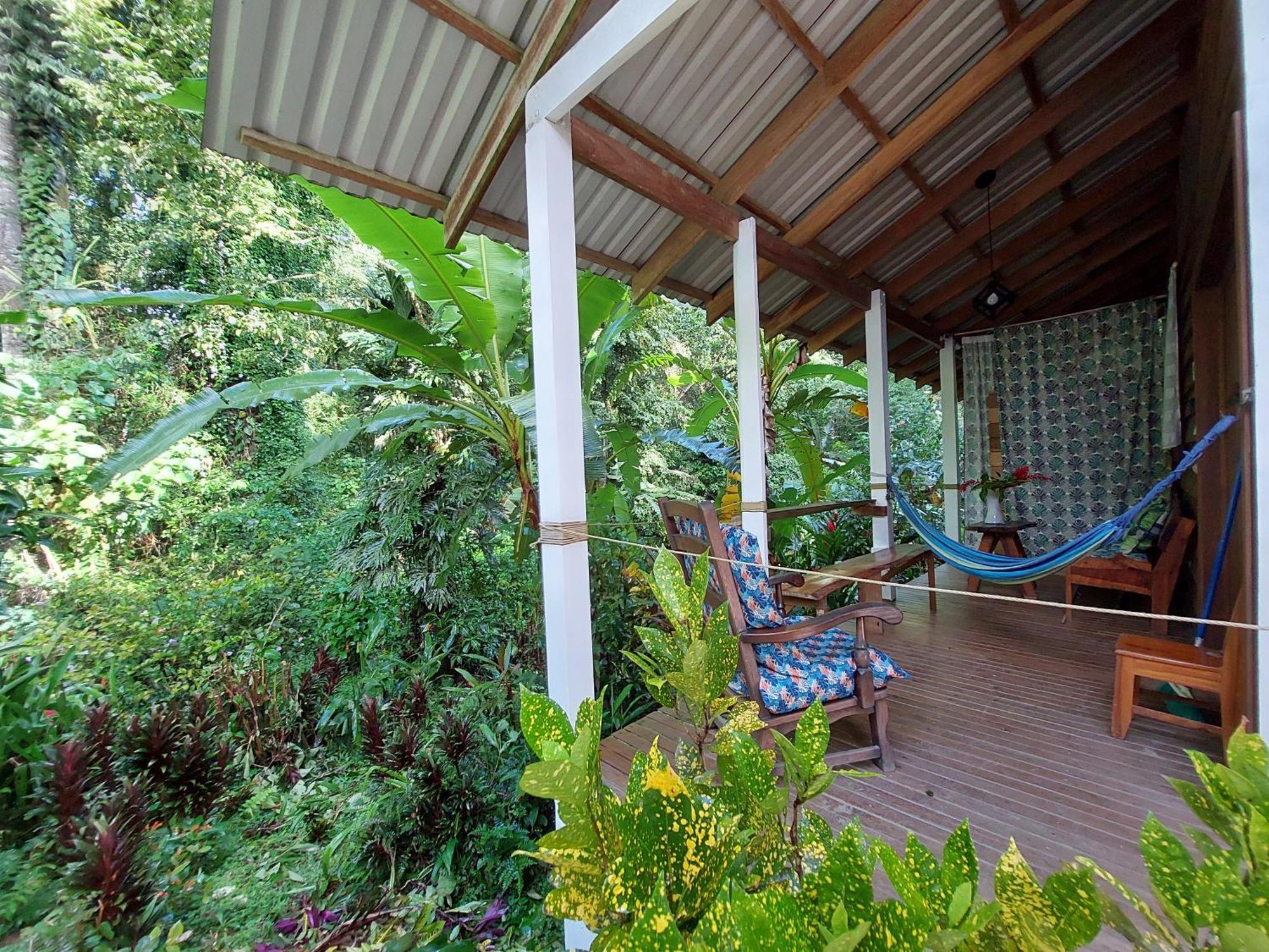 Casa Lina Sloth View Exotic Apartment With Privat Kitchen Puerto Viejo de Talamanca Dış mekan fotoğraf