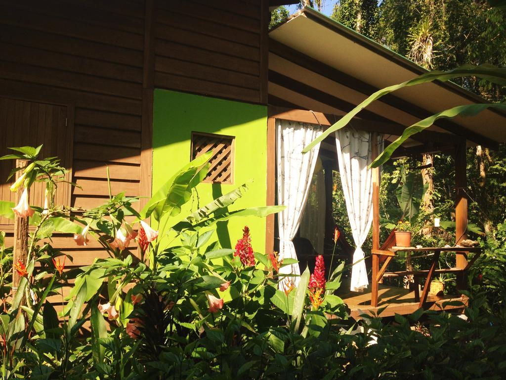 Casa Lina Sloth View Exotic Apartment With Privat Kitchen Puerto Viejo de Talamanca Dış mekan fotoğraf