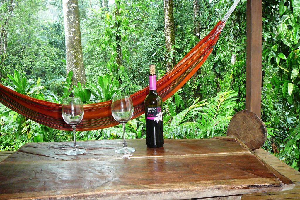 Casa Lina Sloth View Exotic Apartment With Privat Kitchen Puerto Viejo de Talamanca Oda fotoğraf