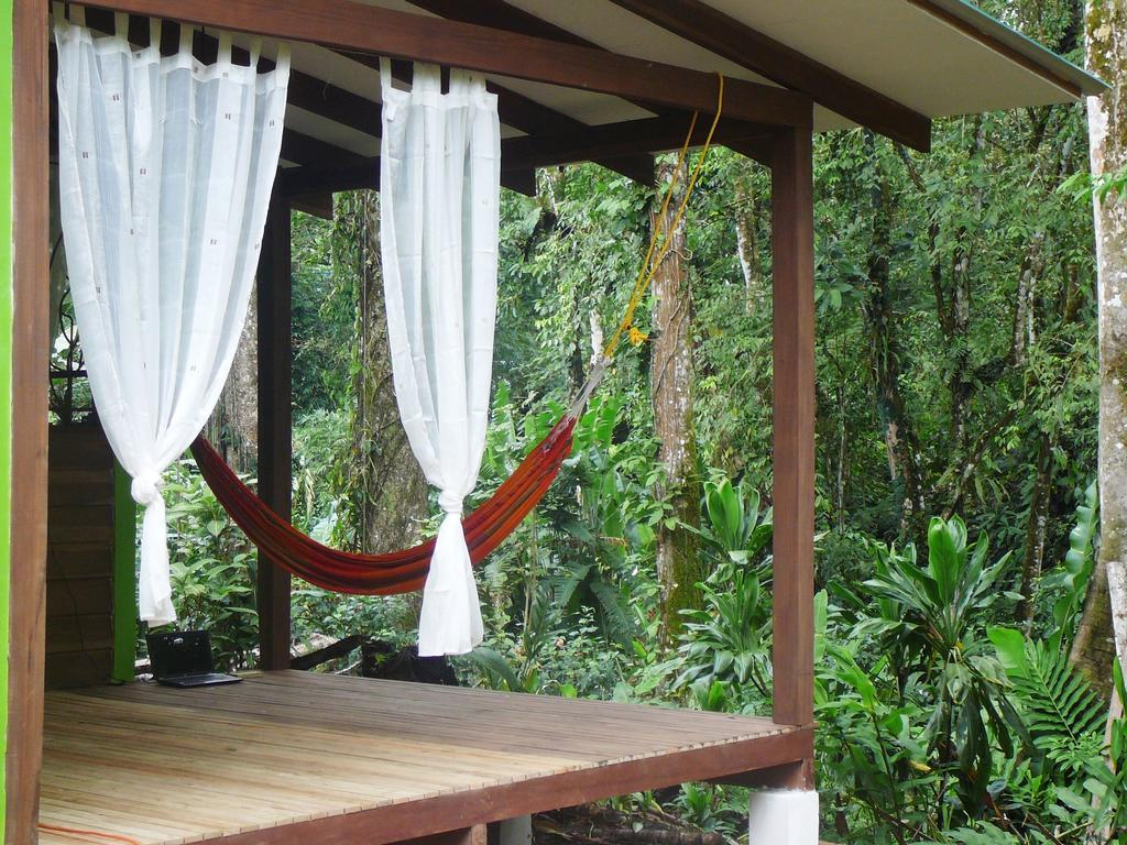 Casa Lina Sloth View Exotic Apartment With Privat Kitchen Puerto Viejo de Talamanca Oda fotoğraf