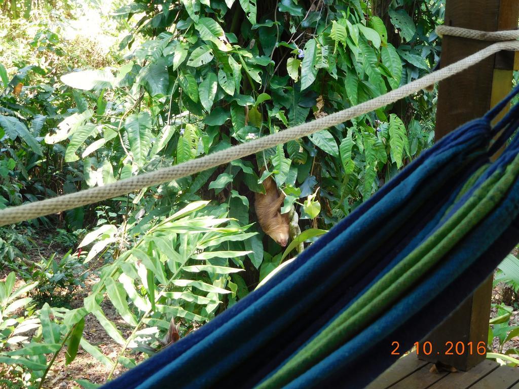 Casa Lina Sloth View Exotic Apartment With Privat Kitchen Puerto Viejo de Talamanca Dış mekan fotoğraf