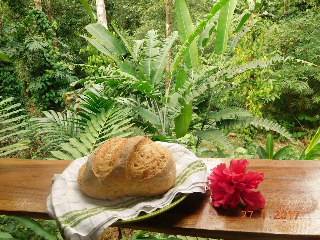 Casa Lina Sloth View Exotic Apartment With Privat Kitchen Puerto Viejo de Talamanca Dış mekan fotoğraf