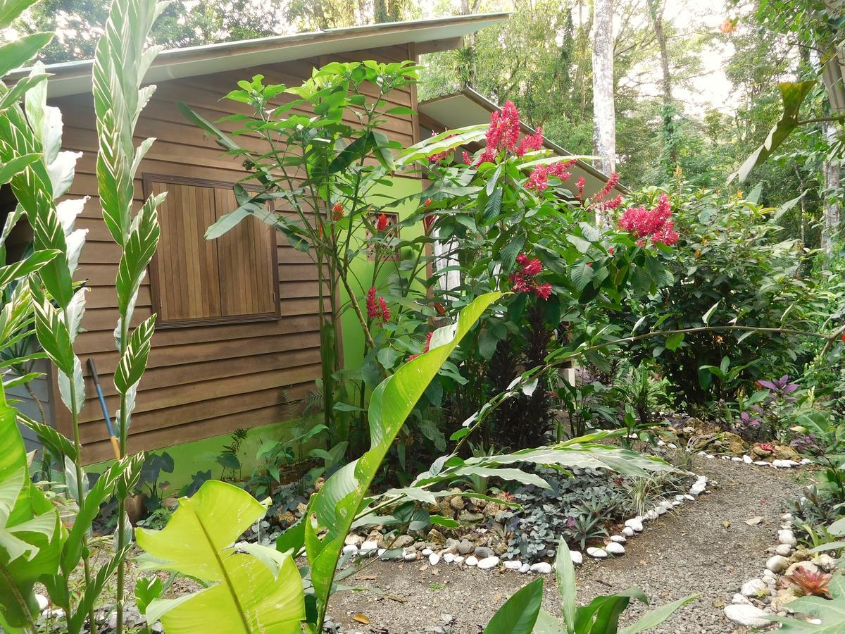 Casa Lina Sloth View Exotic Apartment With Privat Kitchen Puerto Viejo de Talamanca Dış mekan fotoğraf