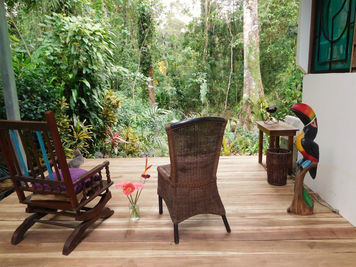 Casa Lina Sloth View Exotic Apartment With Privat Kitchen Puerto Viejo de Talamanca Dış mekan fotoğraf